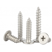 HS4841A Self tapping Screw  M3 *10 100pcs