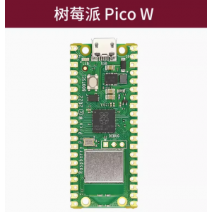 HS5202 Raspberry Pi Pico W