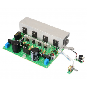 HS6819 500W Mono Subwoofer Sound Board 1943+5200 Chip Amplifiers Board